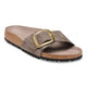 Python Gray Taupe