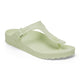 Faded Lime