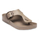 Gray Taupe