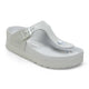 Mineral Gray