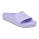 Purple Fog