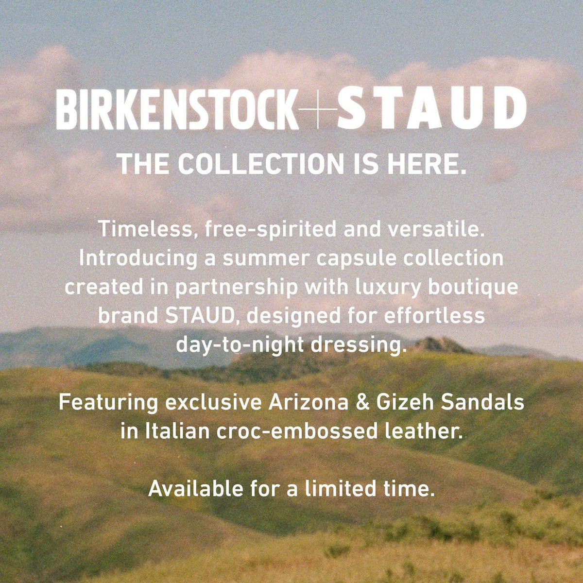 Gizeh Big Buckle Natural Leather Patent in Color Black | Birkenstock