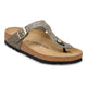 Leo Gray Taupe